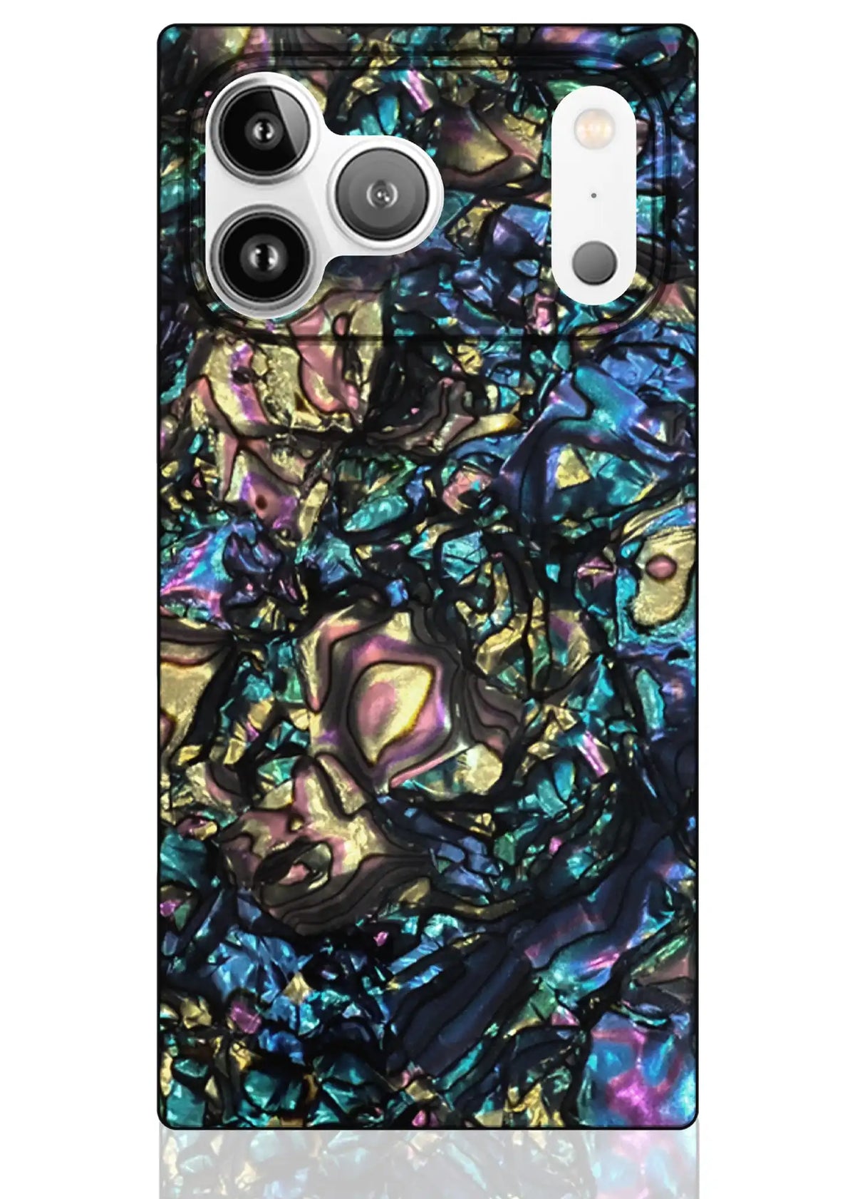 Abalone Shell Bundle Set